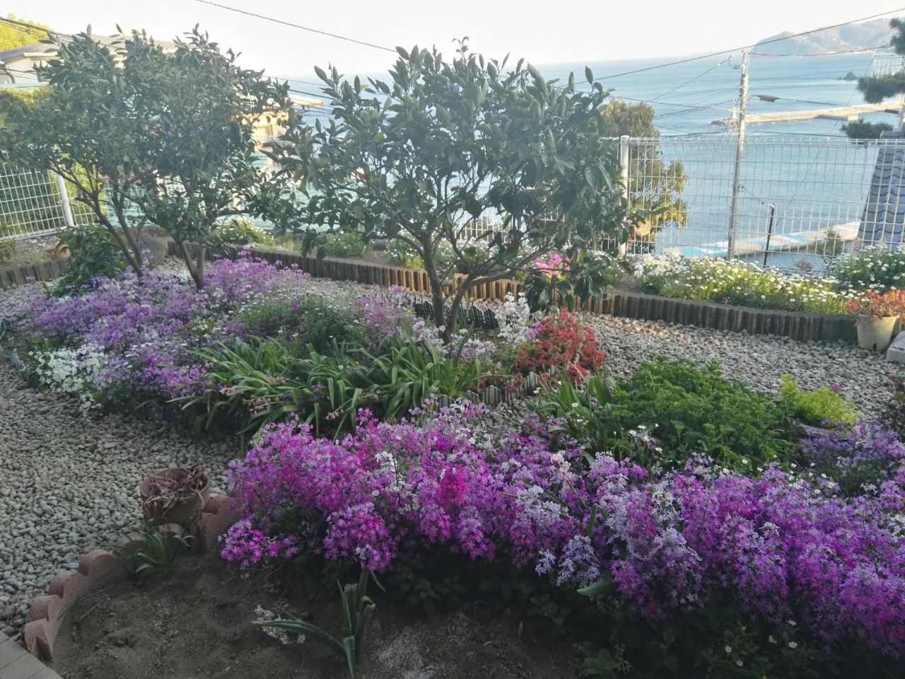 Atami Onsen Guest House Megumi Екстериор снимка